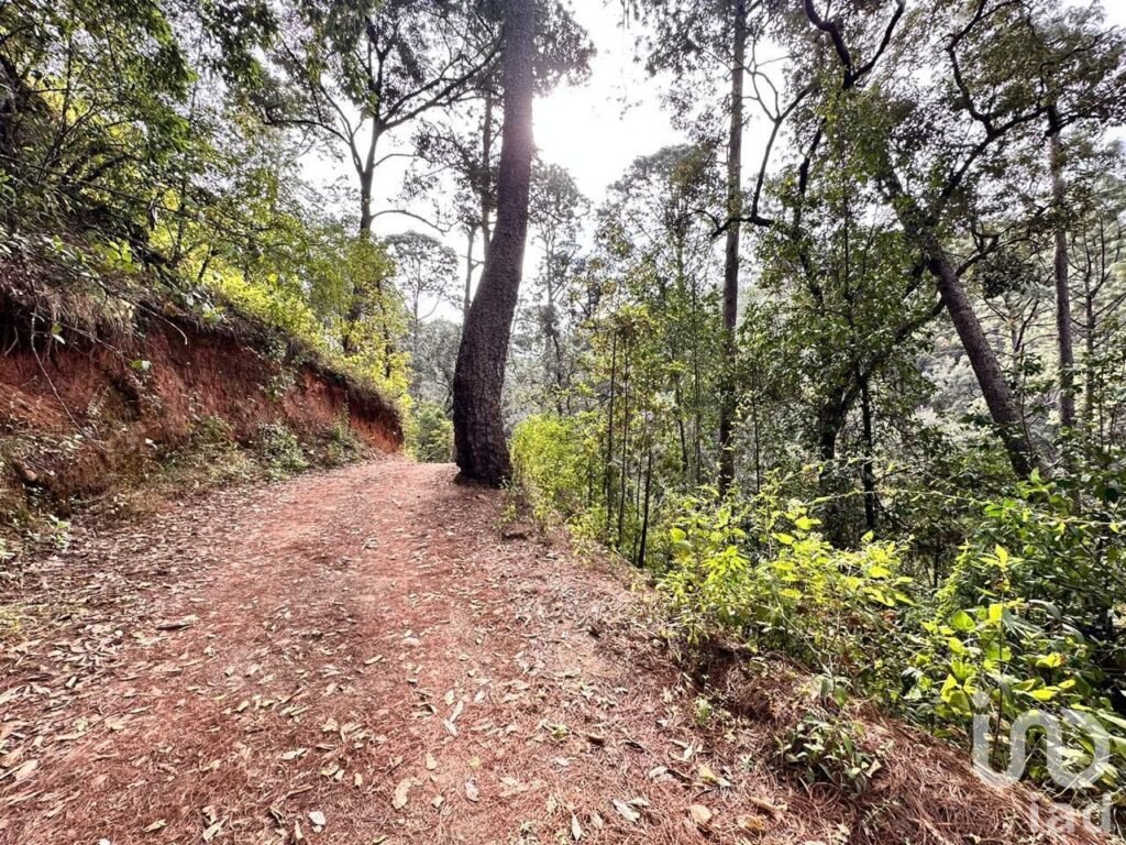 Se vende gran Terreno con casa en Avándaro, Valle de Bravo, México.