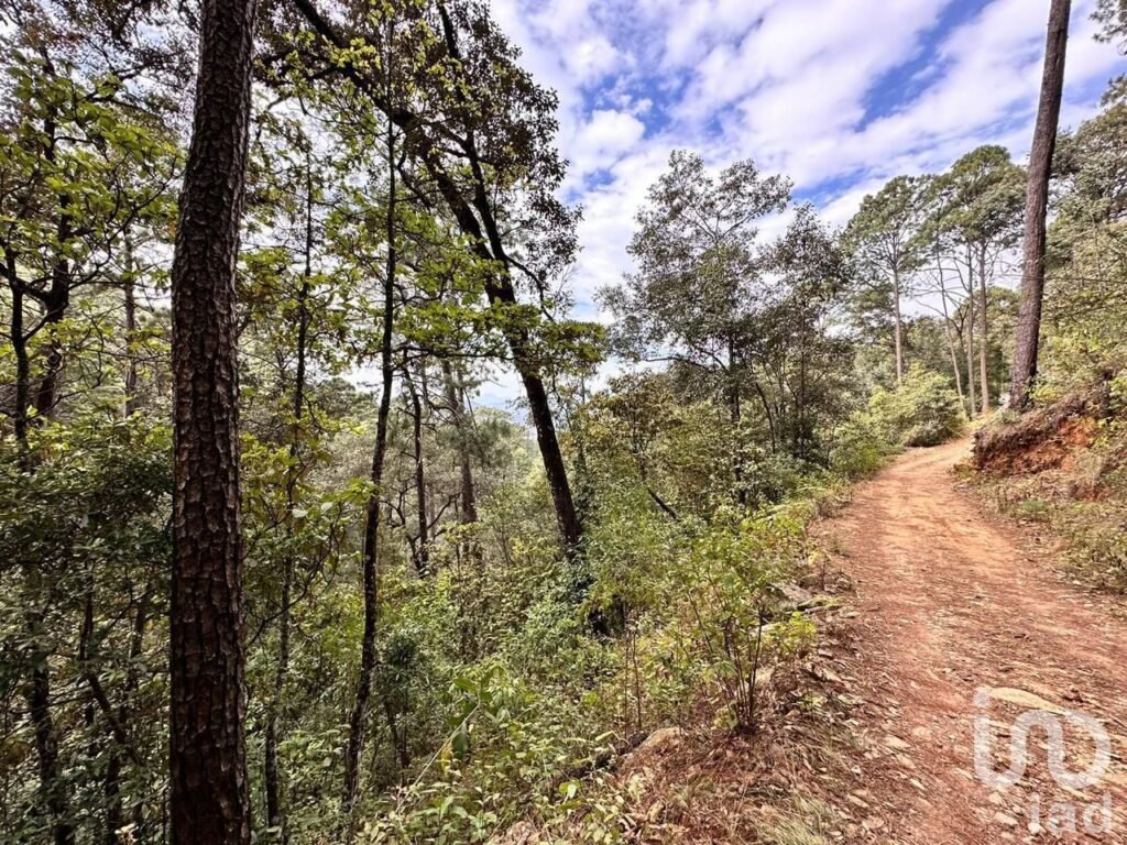 Se vende gran Terreno con casa en Avándaro, Valle de Bravo, México.