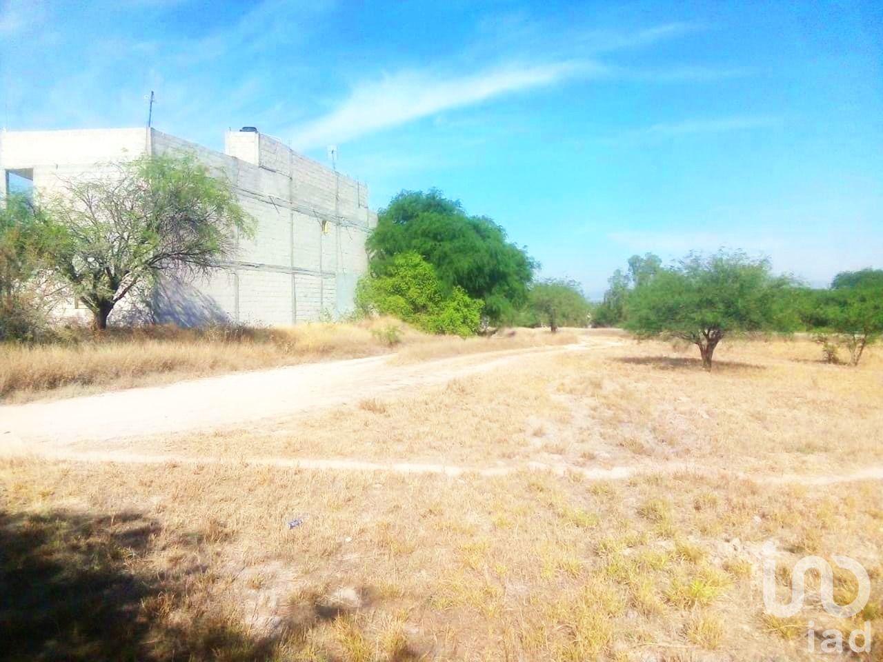 Terreno residencial en venta en Tecozautla, Hidalgo 3,900 m2 Ideal para desarrolladores Terreno residencial en venta en Tecozautla, Hidalgo 3,900 m2 Ideal para desarrolladores