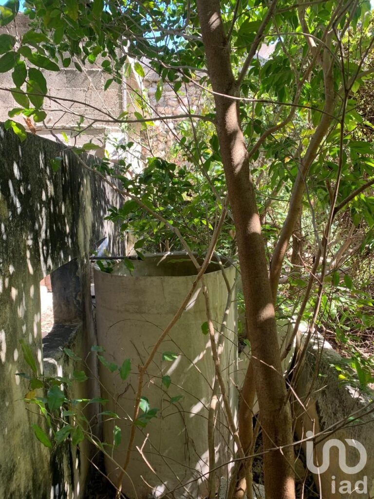 VENTA CASA PARA REMODELAR EN EL CENTRO DE MÉRIDA, ZONA SANTIAGO, INVERSIÓN SEGURA.