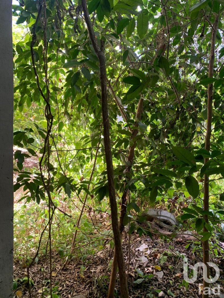 VENTA CASA PARA REMODELAR EN EL CENTRO DE MÉRIDA, ZONA SANTIAGO, INVERSIÓN SEGURA.