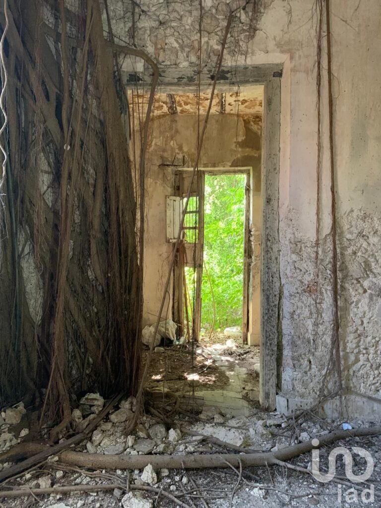 VENTA CASA PARA REMODELAR EN EL CENTRO DE MÉRIDA, ZONA SANTIAGO, INVERSIÓN SEGURA.