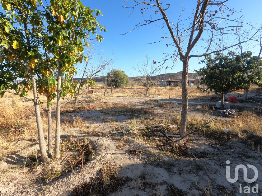 Casa en Venta camino al tanque de zapata Parras