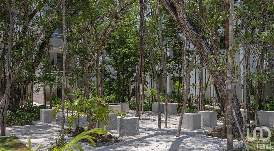 PentHouse de lujo en Aldea Zama, Tulum Q. Roo