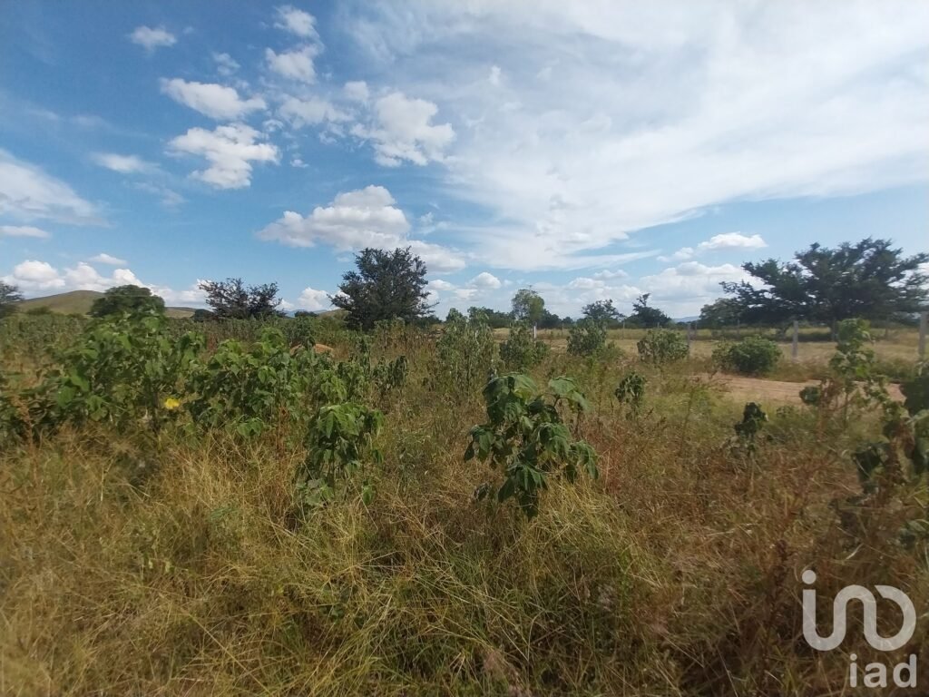 TERRENO EN VENTA 1,425 M2 SOBRE CARRETERA PRINCIPAL EN ZIMATLÁN DE ÁLVAREZ, OAXACA