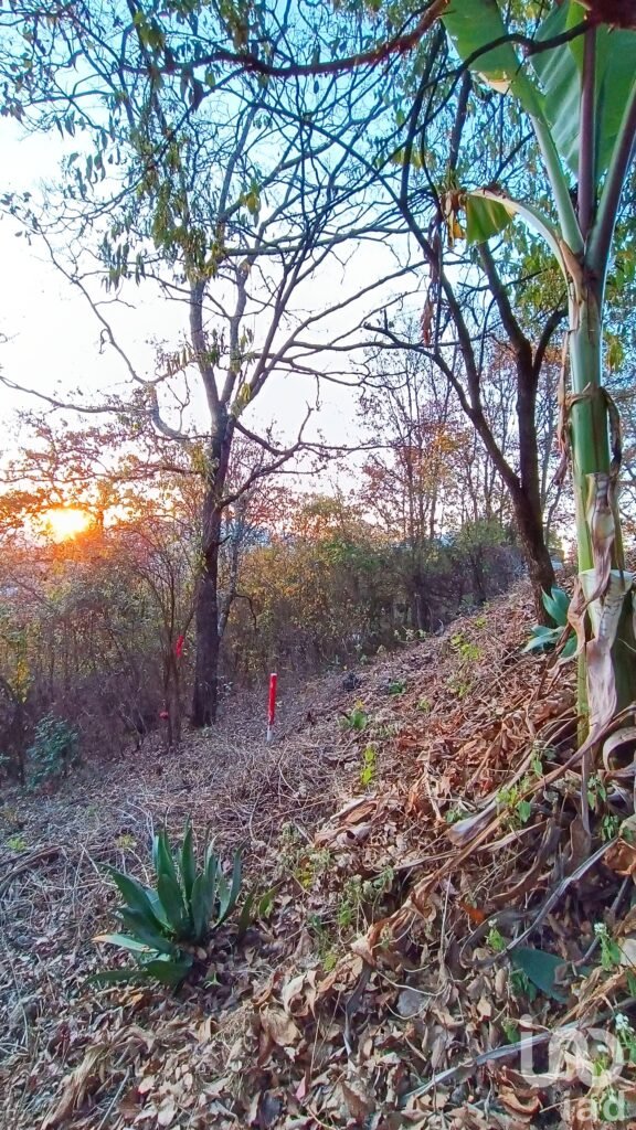Terreno en Venta en San Nicolás, San Cristóbal de las Casas, Chiapas