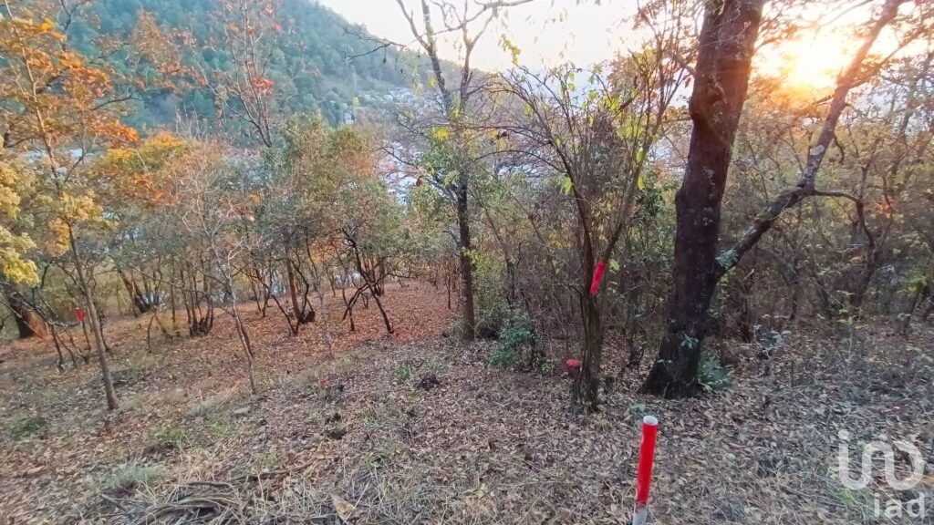 Terreno en Venta en San Nicolás, San Cristóbal de las Casas, Chiapas - 2216566 terreno en venta terreno en venta en san nicolas san cristobal de las casas chiapas 46462