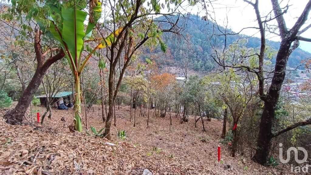 Terreno en Venta en San Nicolás, San Cristóbal de las Casas, Chiapas