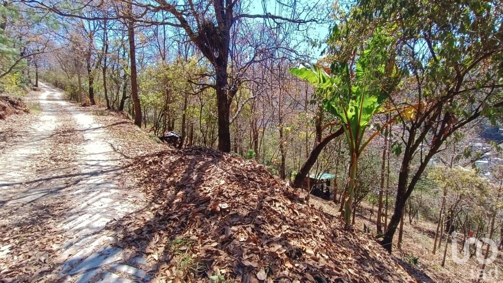 Terreno en Venta en San Nicolás, San Cristóbal de las Casas, Chiapas