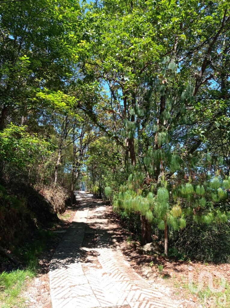 Terreno en Venta en San Nicolás, San Cristóbal de las Casas, Chiapas
