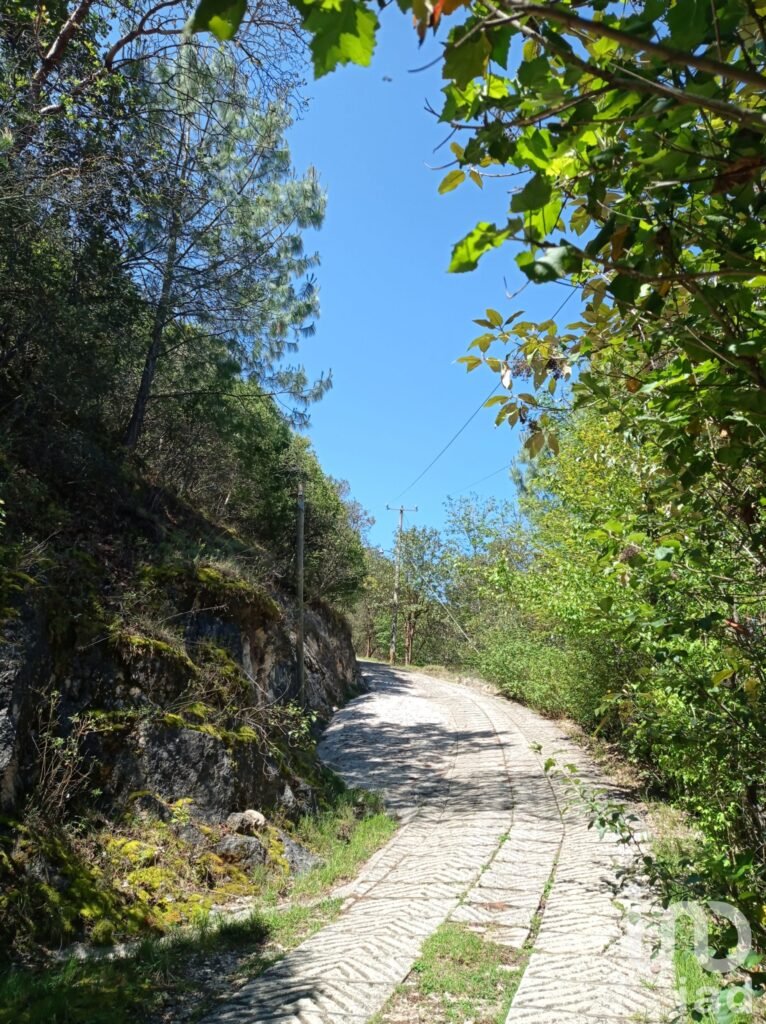 Terreno en Venta en San Nicolás, San Cristóbal de las Casas, Chiapas