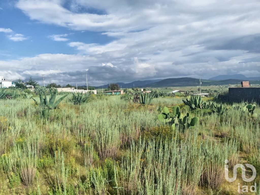 TERRENO DE USO MIXTO EN HIDALGO