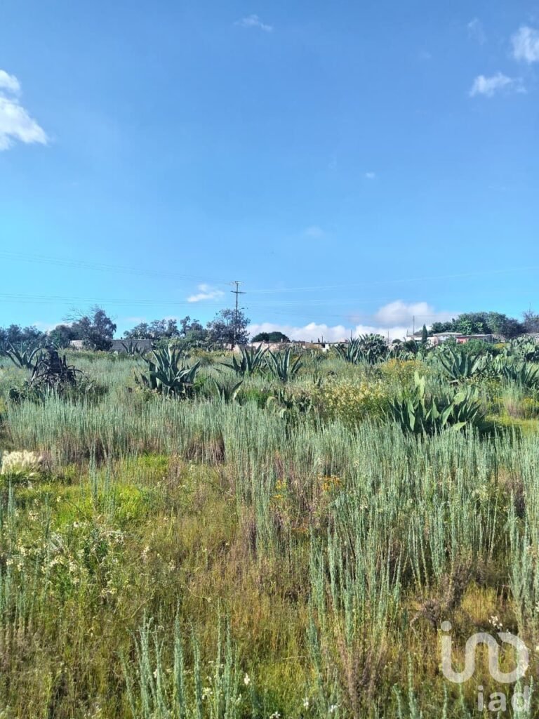 TERRENO DE USO MIXTO EN HIDALGO