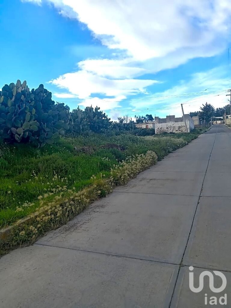 TERRENO DE USO MIXTO EN HIDALGO