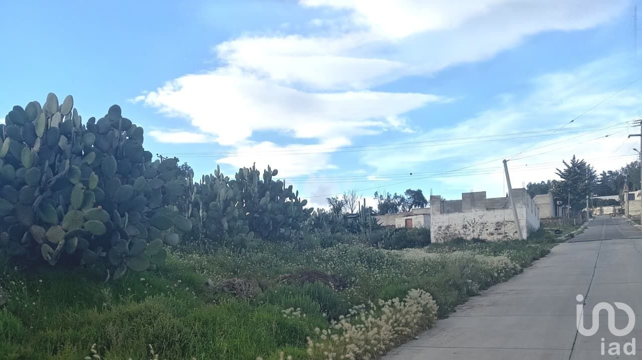 TERRENO DE USO MIXTO EN HIDALGO TERRENO DE USO MIXTO EN HIDALGO