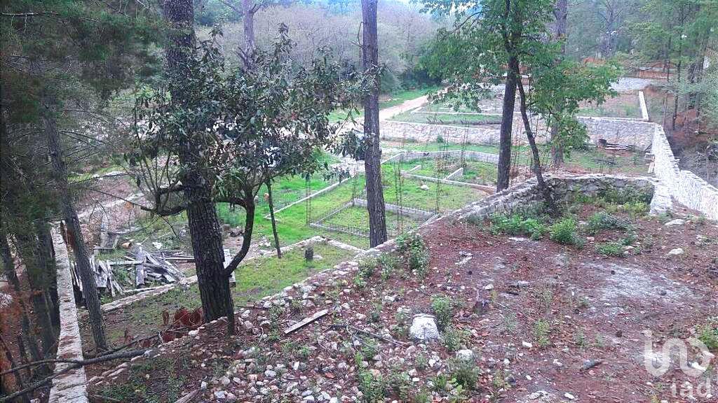 Terreno en Venta en Corral de Piedra, San Cristóbal de las Casas, Chiapas