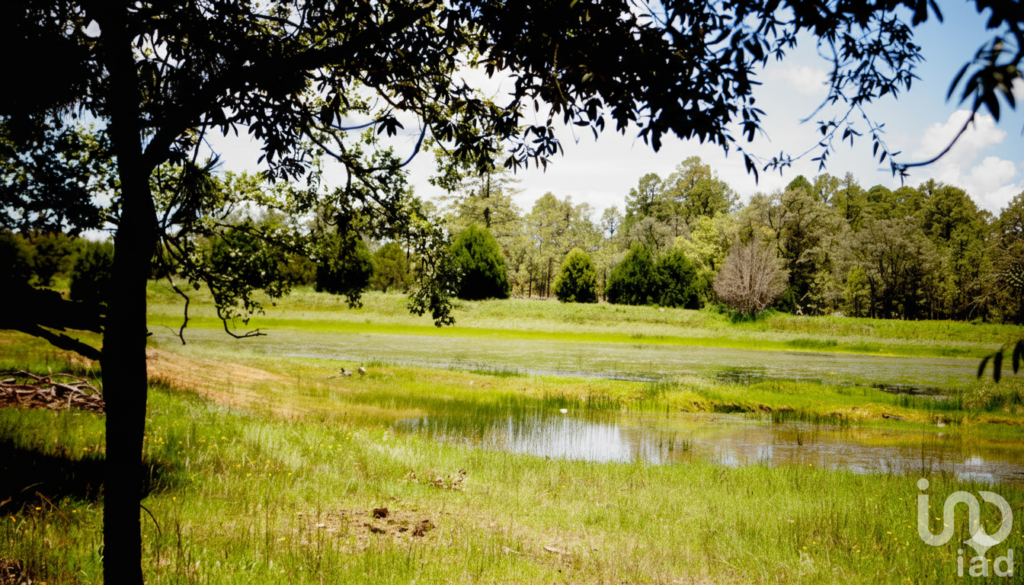 Terreno en Venta Providencia Eco-Park Adventure, Invierte en un Paisaje Inolvidable