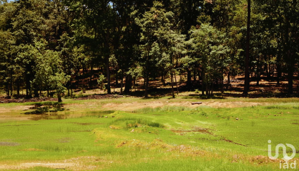 Terreno en Venta Providencia Eco-Park Adventure, Invierte en un Paisaje Inolvidable
