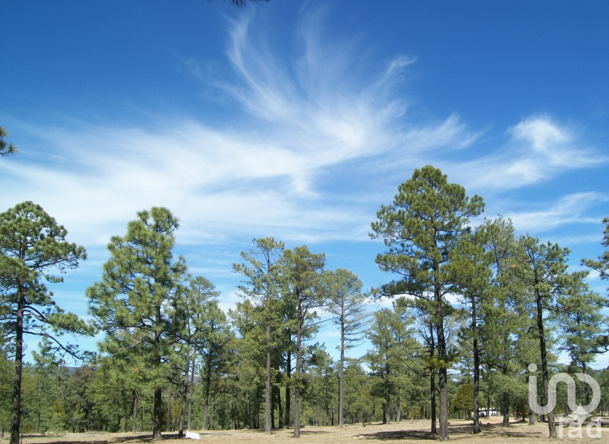 Terreno en Venta, Las Quebradas en El Soldado, con vista a la Cañada, Agua y Luz Terreno en Venta, Las Quebradas en El Soldado, con vista a la Cañada, Agua y Luz