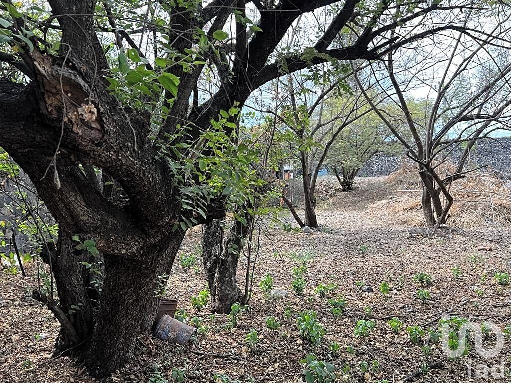 Terreno en venta, Vista Hermosa , Cuernavaca