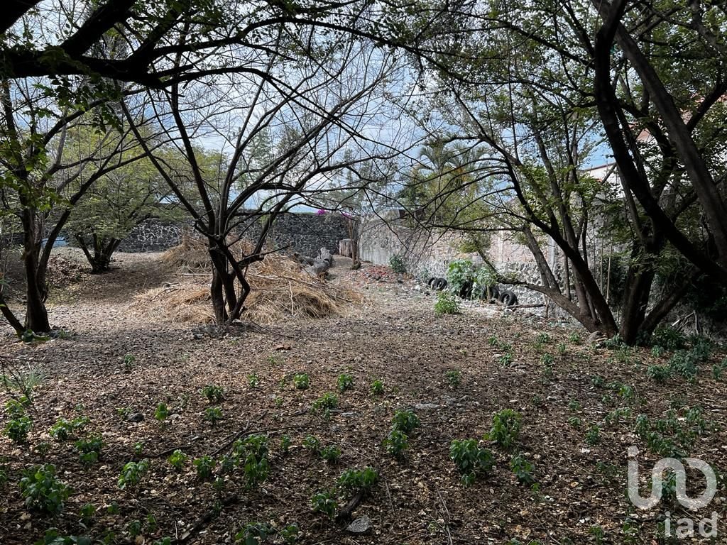 Terreno en venta, Vista Hermosa , Cuernavaca