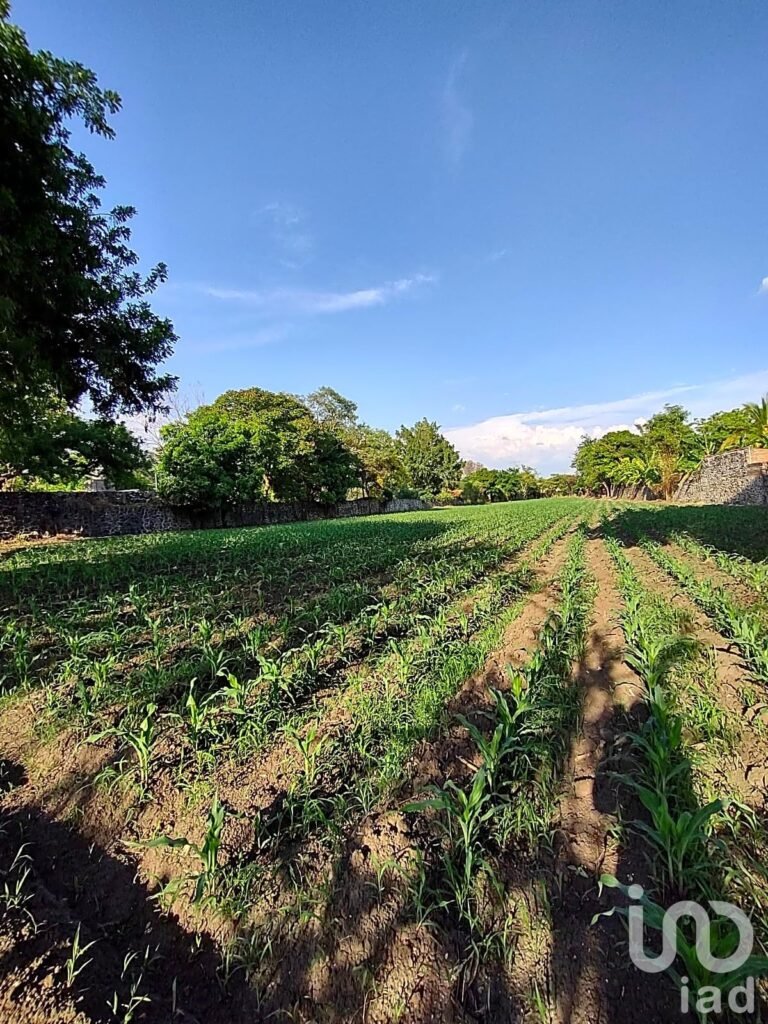 TERRENO EN VENTA CERCA DEL CENTRO DE YAUTEPEC, MORELOS