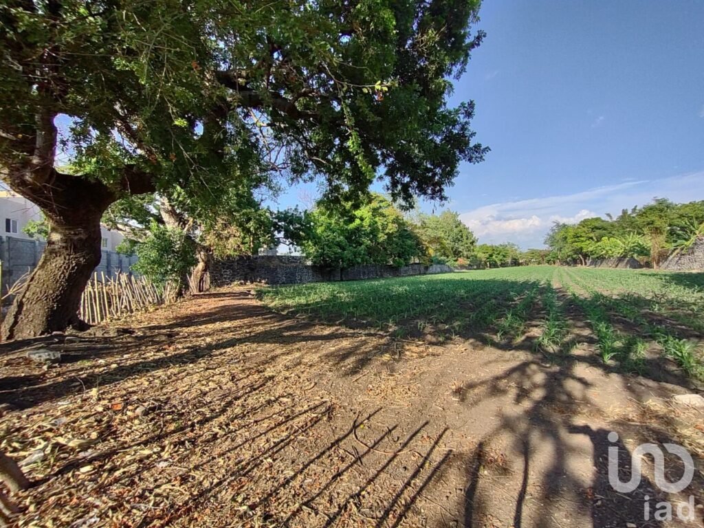 TERRENO EN VENTA CERCA DEL CENTRO DE YAUTEPEC, MORELOS