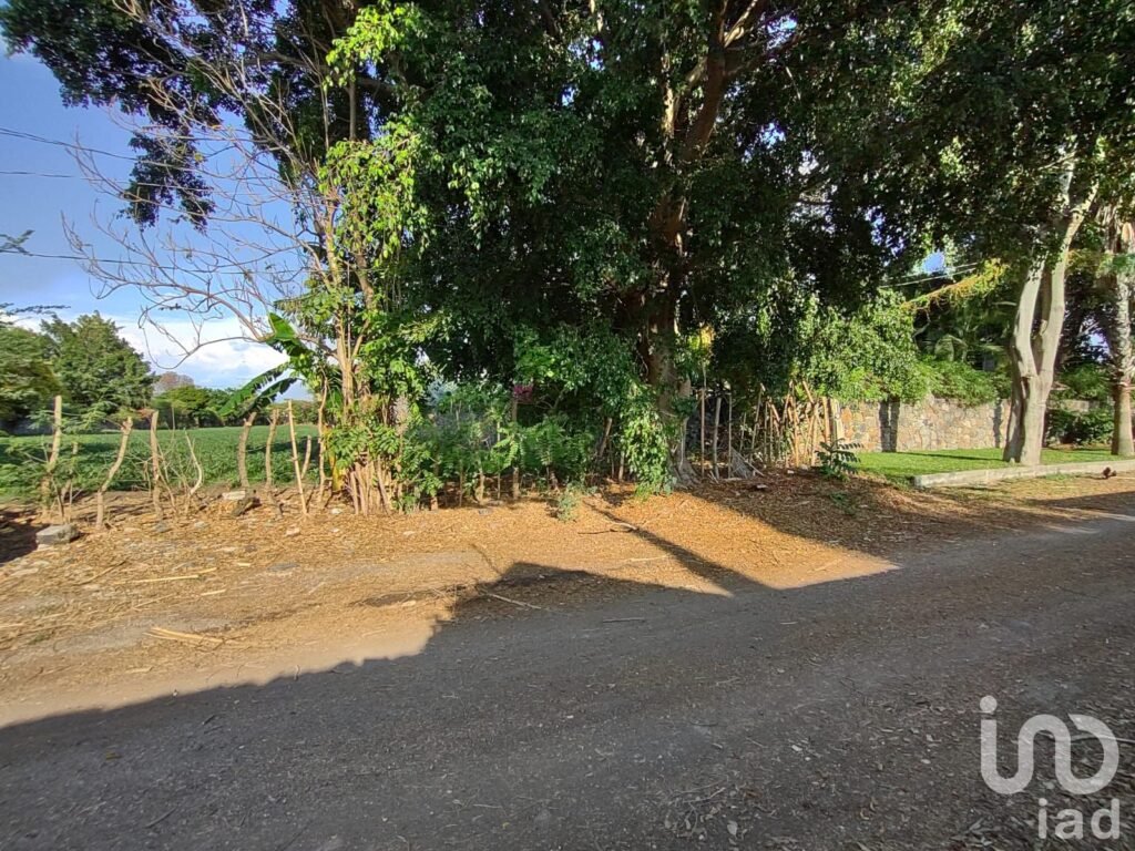 TERRENO EN VENTA CERCA DEL CENTRO DE YAUTEPEC, MORELOS