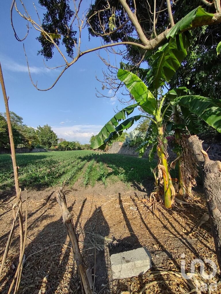 TERRENO EN VENTA CERCA DEL CENTRO DE YAUTEPEC, MORELOS