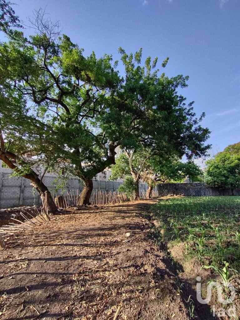 TERRENO EN VENTA CERCA DEL CENTRO DE YAUTEPEC, MORELOS