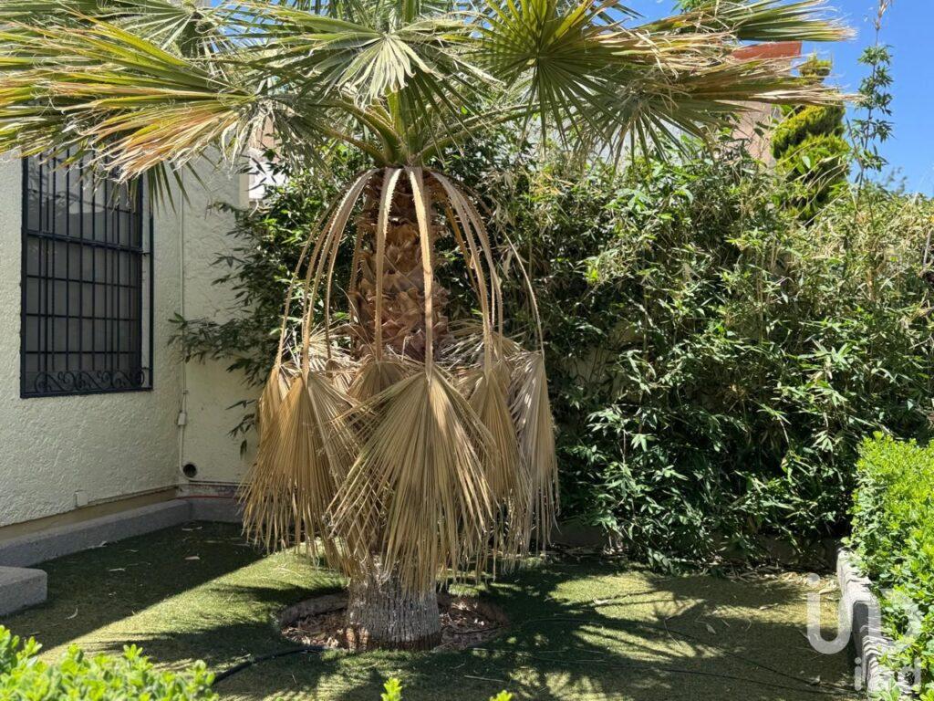 CASA EN VENTA EN EL CAMPANARIO