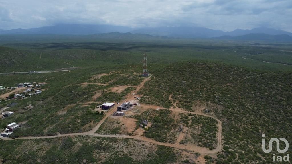 Terreno en Todos Santos