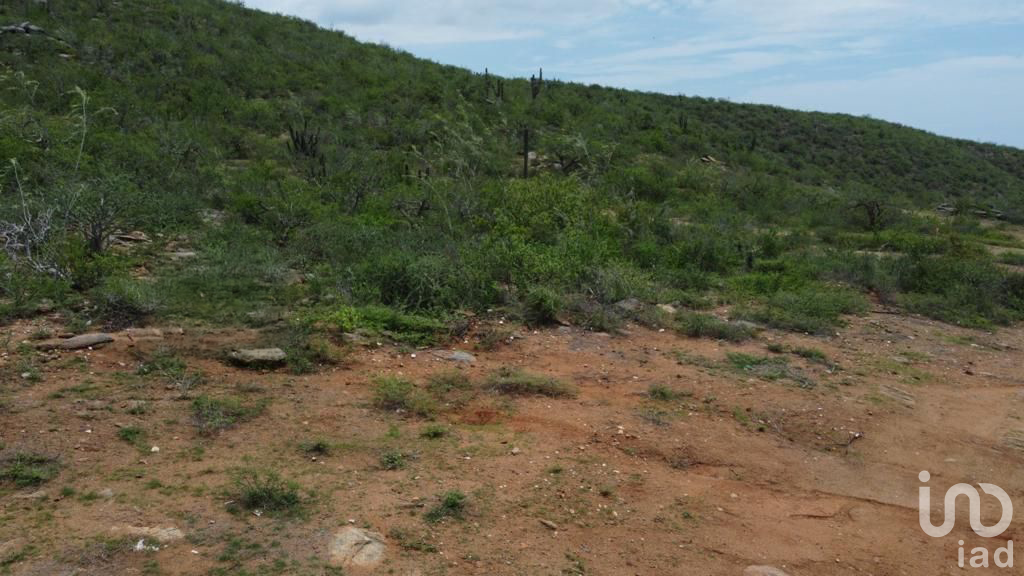 Terreno en Todos Santos