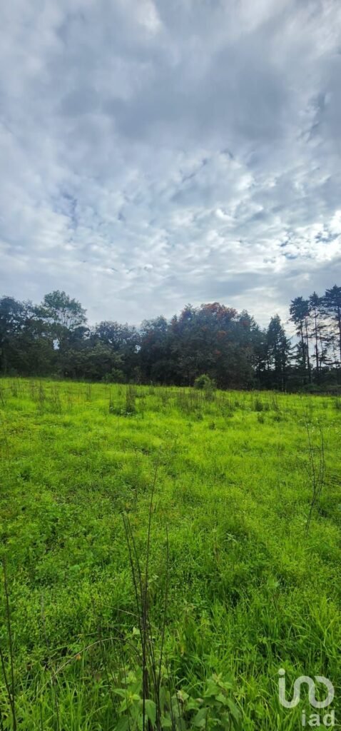 TERRENO EN VENTA EN ATLAUTLA ESTADO DE MÉXICO