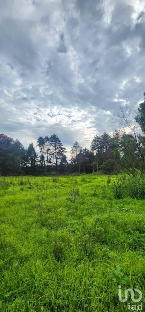 TERRENO EN VENTA EN ATLAUTLA ESTADO DE MÉXICO