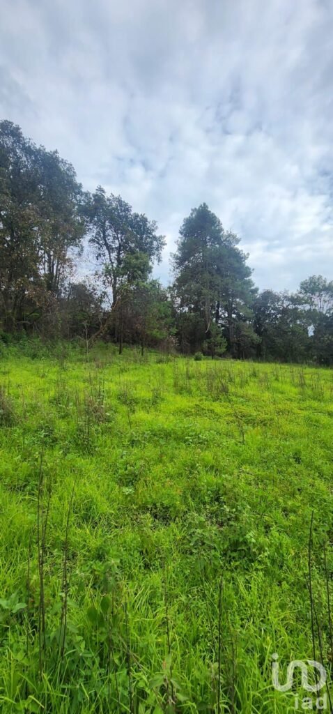 TERRENO EN VENTA EN ATLAUTLA ESTADO DE MÉXICO