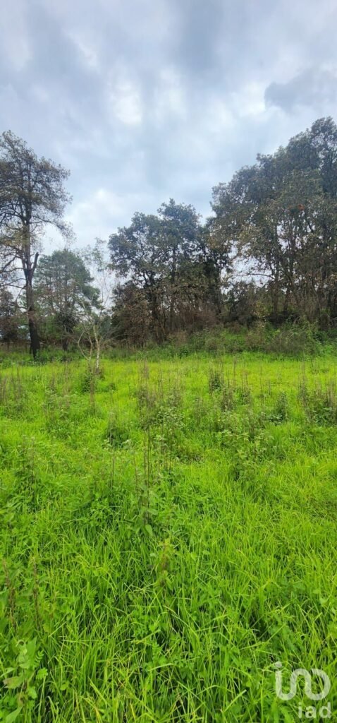 TERRENO EN VENTA EN ATLAUTLA ESTADO DE MÉXICO