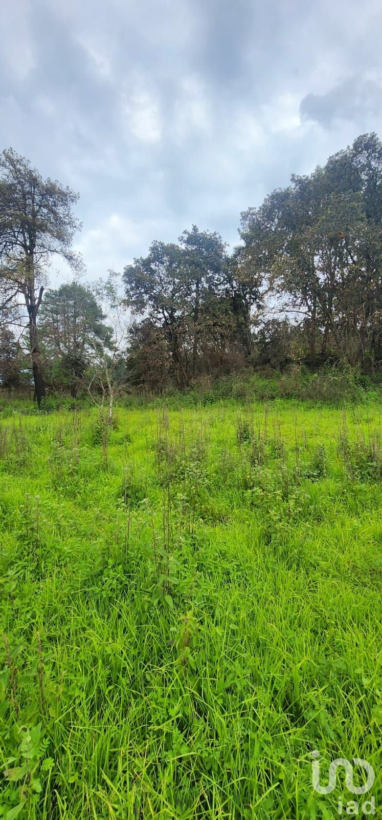 TERRENO EN VENTA EN ATLAUTLA ESTADO DE MÉXICO