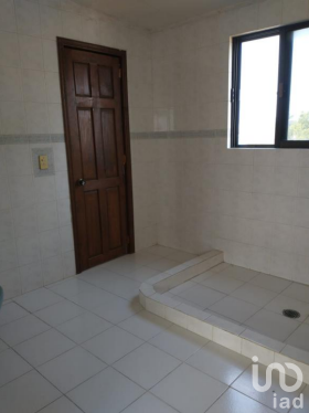 EDIFICIO EN RENTA, CHALCO EDO DE MEXICO