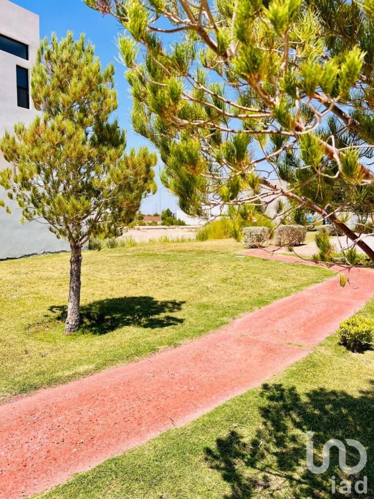 TERRENO EN VENTA CON LAGO  PRIVADO EN ALTOZANO EL NUEVO JUAREZ
