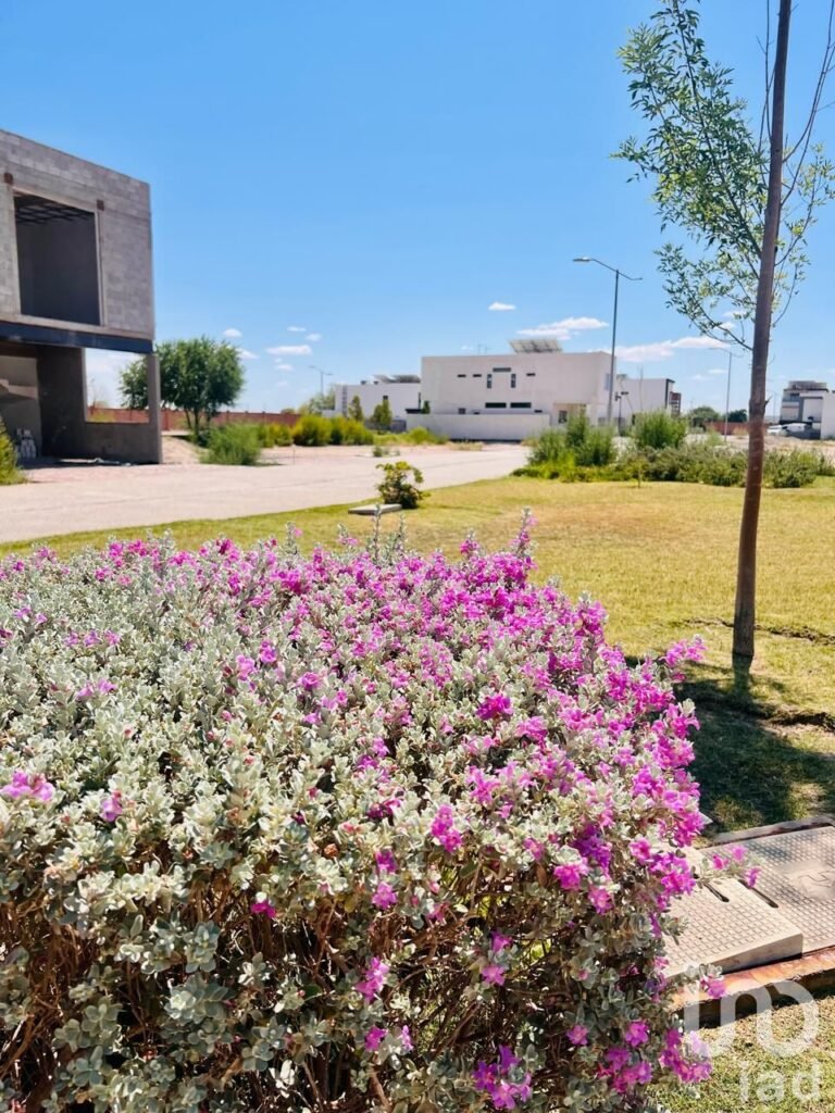 TERRENO EN VENTA CON LAGO  PRIVADO EN ALTOZANO EL NUEVO JUAREZ