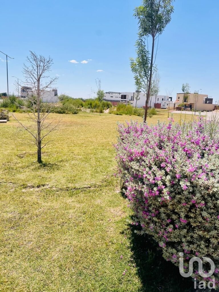 TERRENO EN VENTA CON LAGO  PRIVADO EN ALTOZANO EL NUEVO JUAREZ