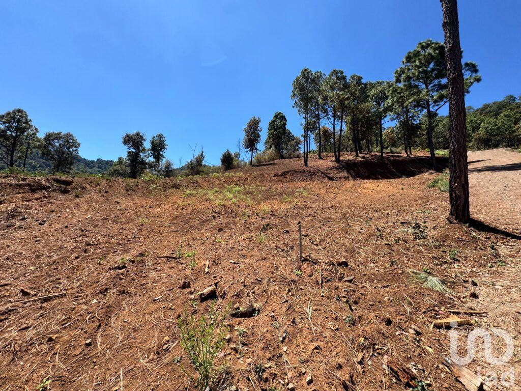 Terreno en Venta 1000m2 Sierra y Valle ( Valle de Juarez)