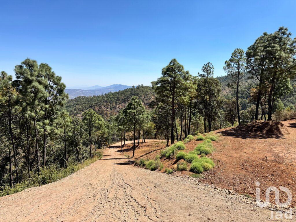 Terreno en Venta 1000m2 Sierra y Valle ( Valle de Juarez)