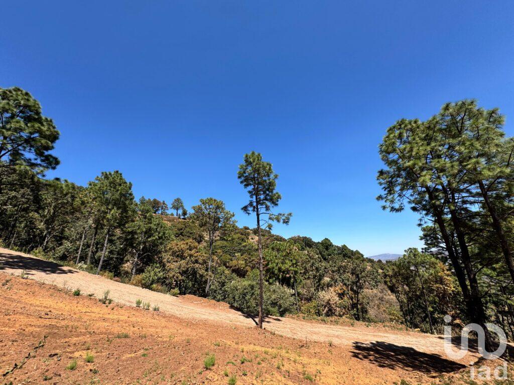 Terreno en Venta 1000m2 Sierra y Valle ( Valle de Juarez)