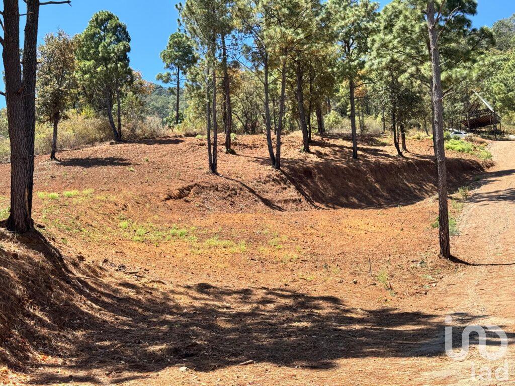 Terreno en Venta 1000m2 Sierra y Valle ( Valle de Juarez)