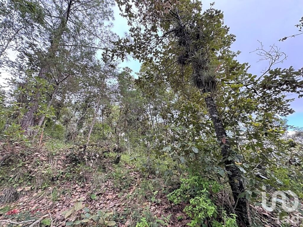 Terreno en venta en Huitepec, San Cristóbal de Las Casas