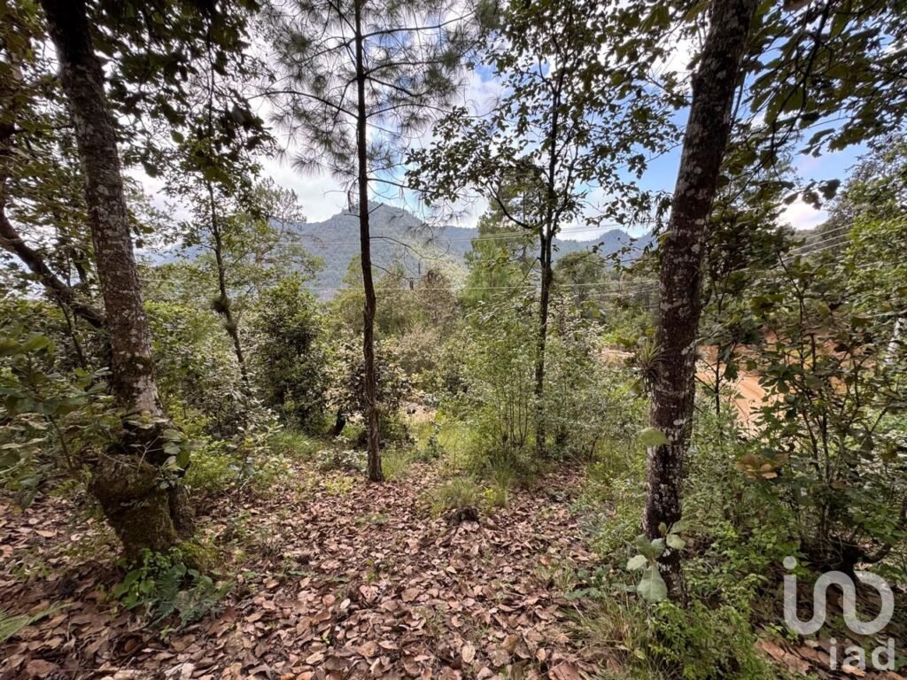 Terreno en venta en Huitepec, San Cristóbal de Las Casas