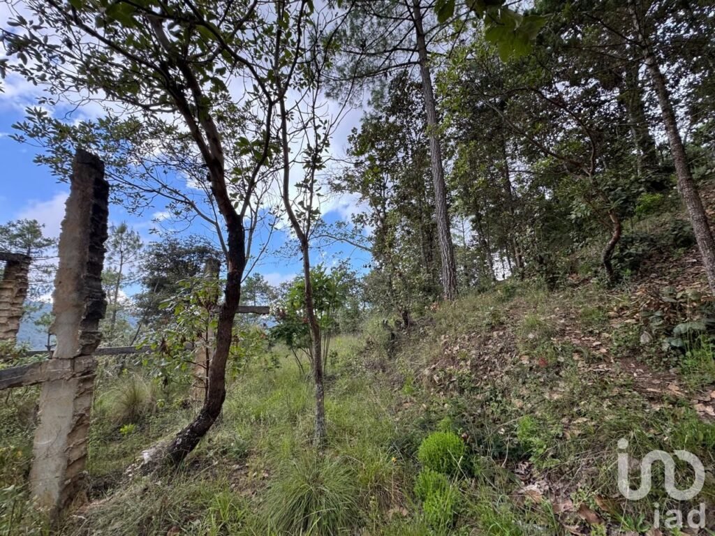 Terreno en venta en Huitepec, San Cristóbal de Las Casas