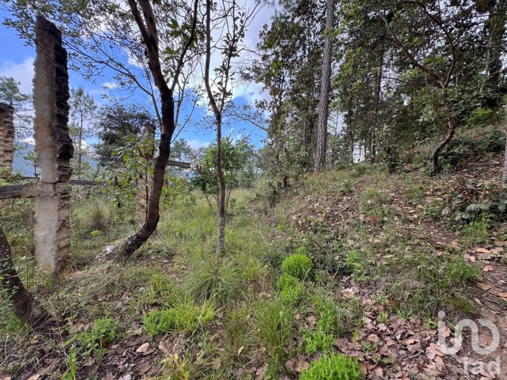 Terreno en venta en Huitepec, San Cristóbal de Las Casas